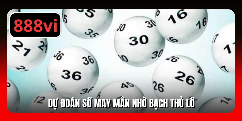 Dự đoán số may mắn nhờ bạch thủ lô